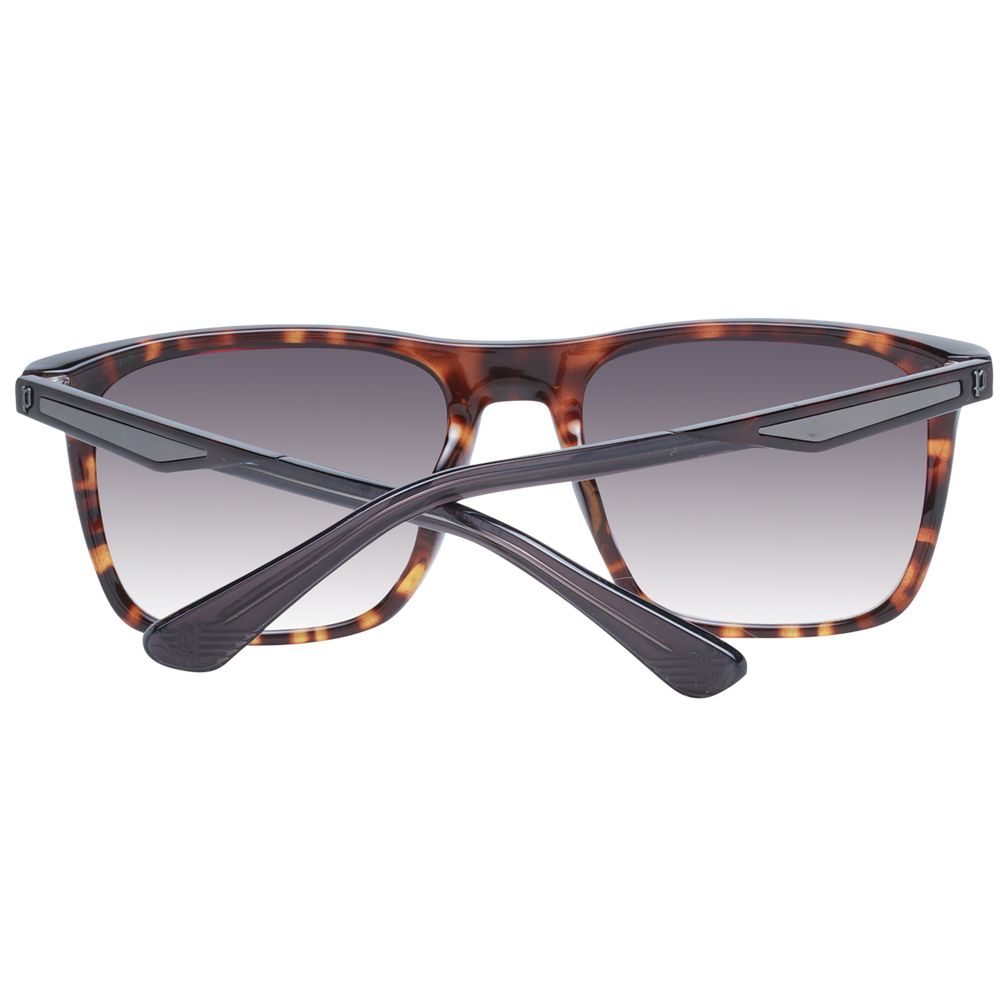 Brown Men Sunglasses